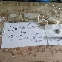 Green Seekers Activity